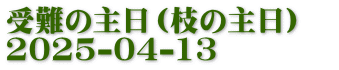 受難の主日（枝の主日）　 2025-04-13